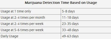 Marijuana detection time table