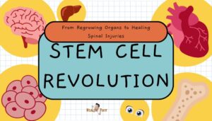 Stem Cell Revolution- From Regrowing Organs to Healing Spinal Injuries