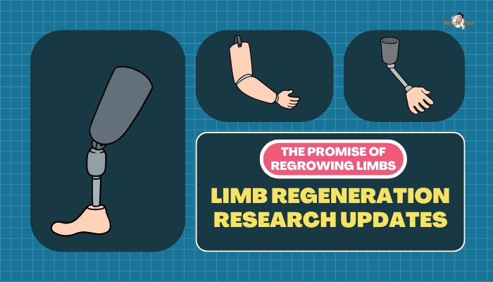 The Promise of Regrowing Limbs- Limb Regeneration Research Updates