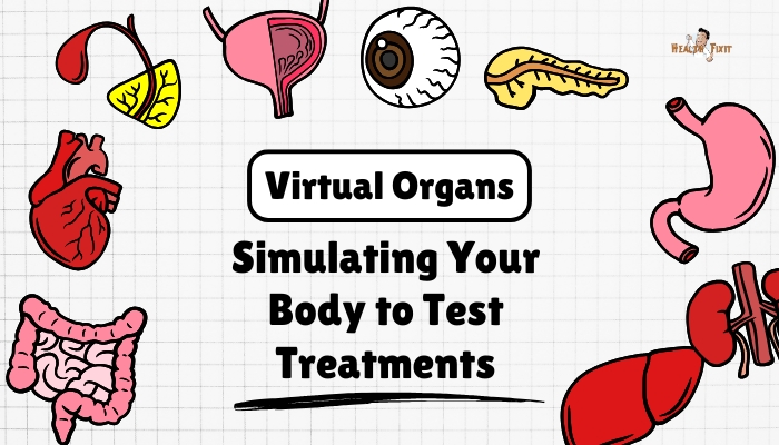 Virtual Organs (Digital Twins)- Simulating Your Body to Test Treatments Virtual Organs (Digital Twins)- Simulating Your Body to Test Treatments